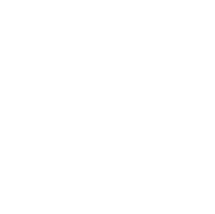 TEAM 社員紹介