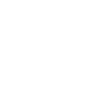 TEAM 社員紹介